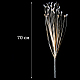 photo-2980044