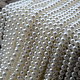 photo-2982437